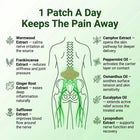NerveCalm™ Sciatica Pain Relief Patches