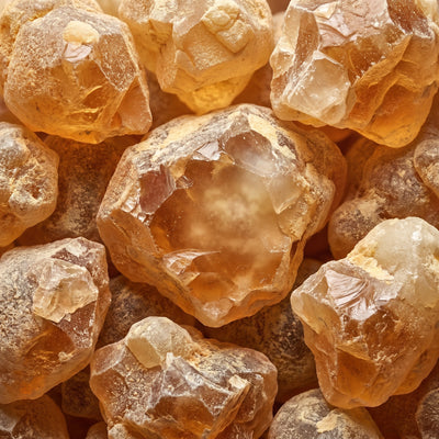 Frankincense Extract